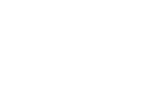 IPPA